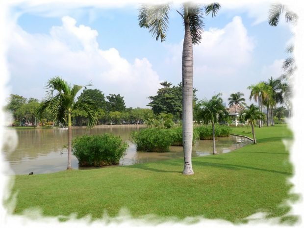 View of the pond Chatuchak Park near the entrance